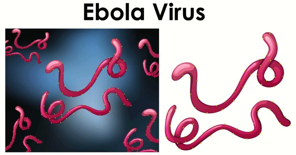 Ebola Virus