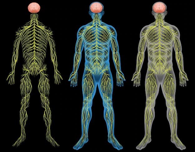 Energetske linije u tijelu
