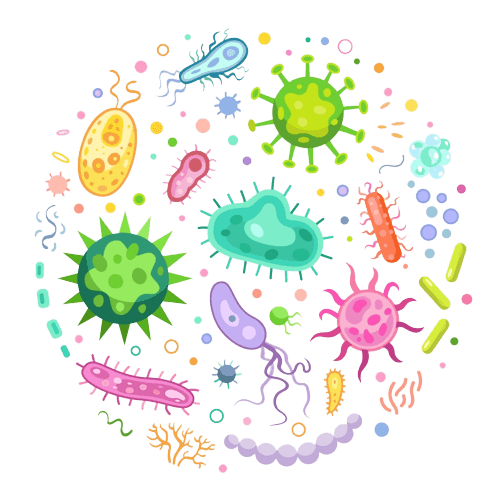Šta su to Bakterijske infekcije